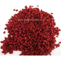 Iranian dried barberry export quality