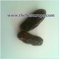Dried Date from Iran